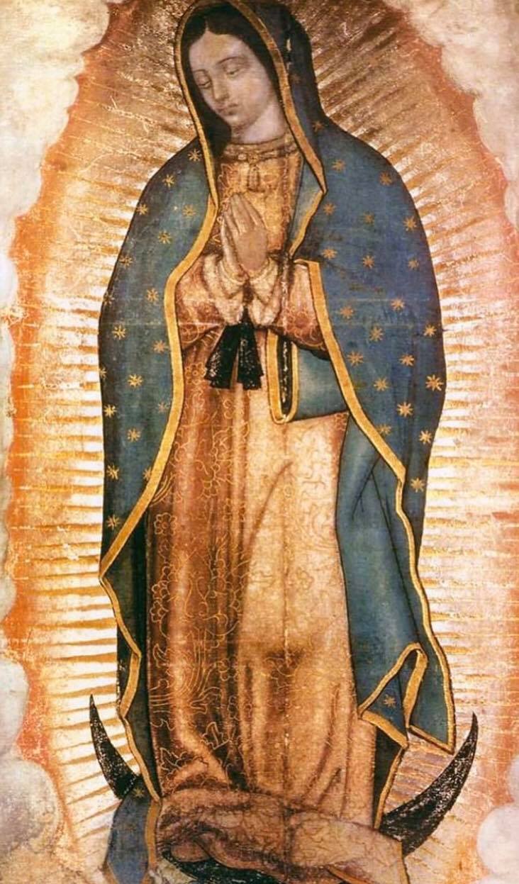 Our Lady of Guadalupe - Vcatholic