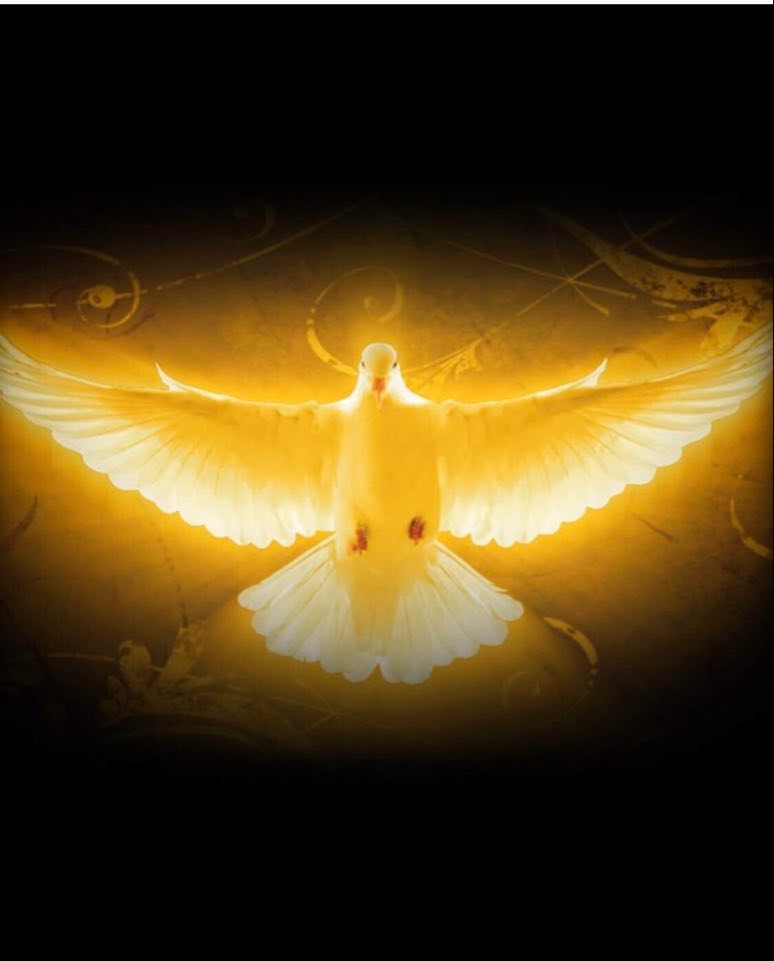 PRAYER OF SAINT AUGUSTINE TO THE HOLY GHOST Vcatholic